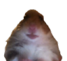 wot Discord emoji — free static PNG download