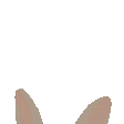 bunnygirlpeek Discord emoji — free animated GIF download