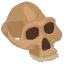 fossil skull Discord emoji — free static PNG download