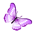 purple butterfly Discord emoji — free animated GIF download