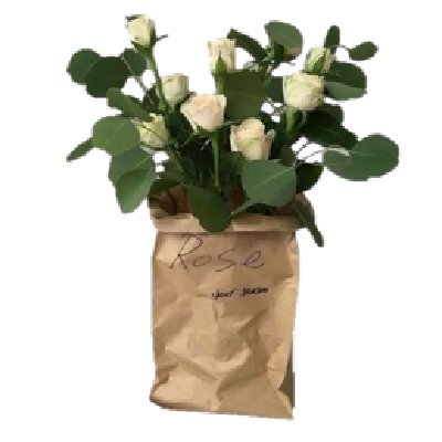 flowerbag Discord emoji — free static PNG download