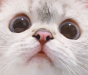 nana want Discord emoji — free static PNG download