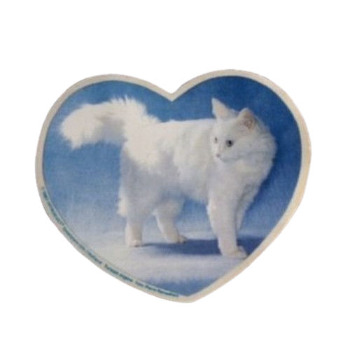 catheart Discord emoji - free download