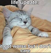 lifeupdate Discord emoji — free static PNG download
