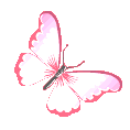 butterflypink Discord emoji — free animated GIF download
