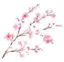 cherryblossombranch Discord emoji — free static PNG download