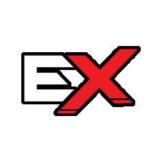ex zoom Discord emoji - free download