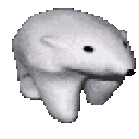 polarbear Discord emoji — free animated GIF download