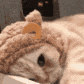kitty sleepy Discord emoji — free animated GIF download