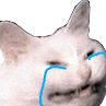 kitty sad Discord emoji — free static PNG download