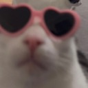 monkey cat luna glasses Discord emoji — free static PNG download