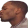 kiss r Discord emoji — free static PNG download