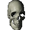 spinning skull Discord emoji — free animated GIF download