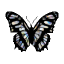 butterfly Discord emoji — free animated GIF download