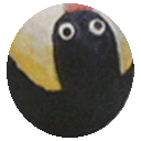 pingu rolling Discord emoji — free animated GIF download