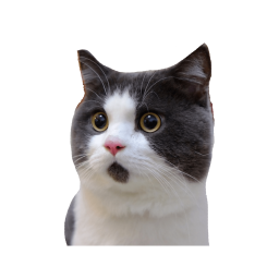 cutecat Discord emoji — free static PNG download