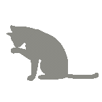 graykitten Discord emoji — free animated GIF download