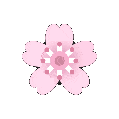 cherryblossomspin Discord emoji — free animated GIF download