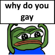 whydoyougaypepe Discord emoji — free static PNG download