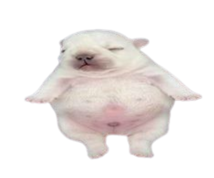 pibble Discord emoji — free static PNG download