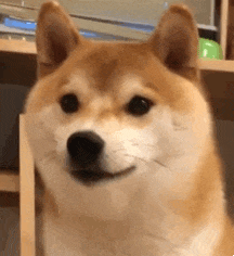 shibateeth Discord emoji — free animated GIF download
