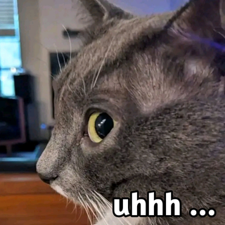 uhhh cat Discord emoji — free static PNG download