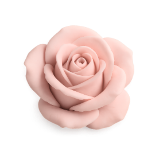 softblushrose Discord emoji — free static PNG download
