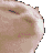 rainbow cat party Discord emoji — free animated GIF download