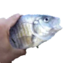 hold fish Discord emoji — free static PNG download