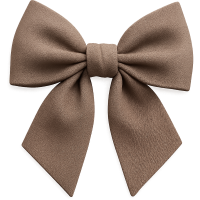 brown bow Discord emoji — free static PNG download