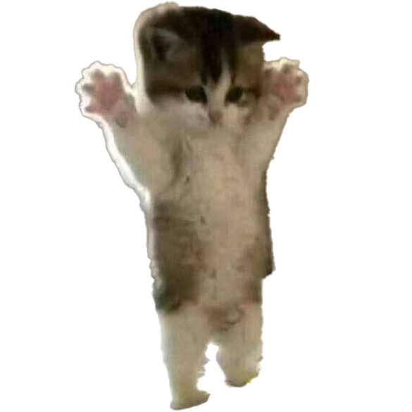 catstand Discord emoji - free download