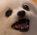 aaaa Discord emoji - free download