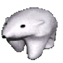beargo Discord emoji — free animated GIF download