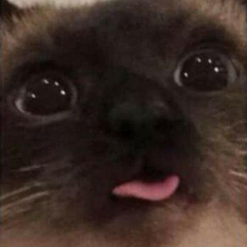 blep Discord emoji — free static PNG download