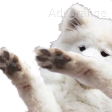 boofdab Discord emoji — free static PNG download