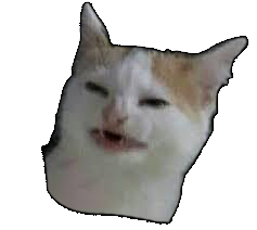 catnobanana Discord emoji — free static PNG download