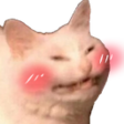 CattoBlush Discord emoji