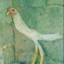 Chokn Discord emoji — free static PNG download