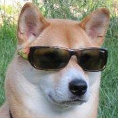 cooldoggo Discord emoji — free static PNG download