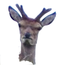 deer23 Discord emoji — free static PNG download
