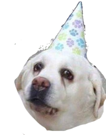 doggo2 Discord emoji — free static PNG download