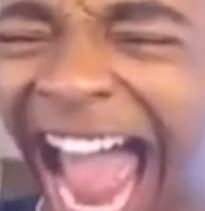 DolphinLaugh Discord emoji — free static PNG download