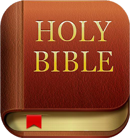 holy_bible Discord emoji — free static PNG download