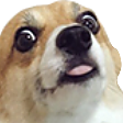 JoliShit Discord emoji — free static PNG download