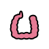 large intestine Discord emoji — free static PNG download