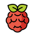 raspberry pi Discord emoji — free static PNG download