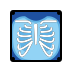 x-ray Discord emoji — free static PNG download