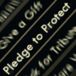 pledge_to_protect Discord emoji — free static PNG download