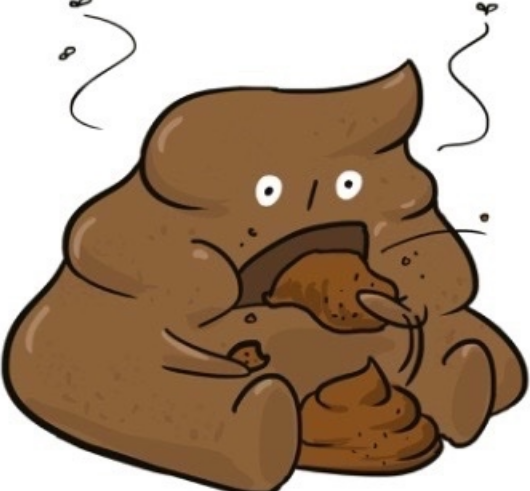 Poooo Discord emoji — free static PNG download