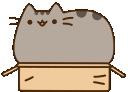PusheenBox Discord emoji — free animated GIF download